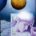 The Moon