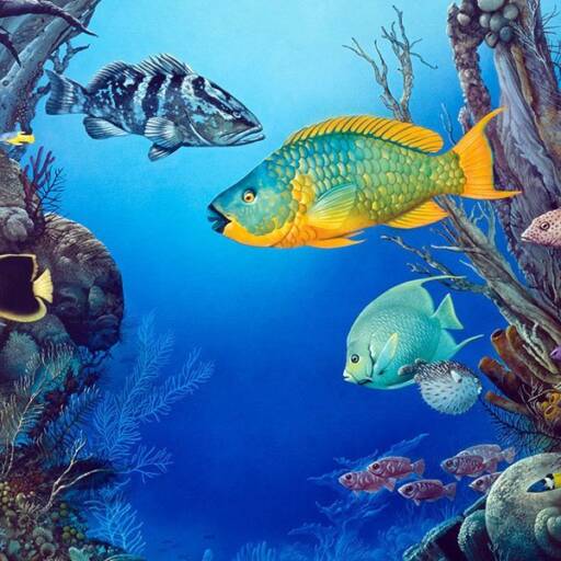 Fish in the coral reef