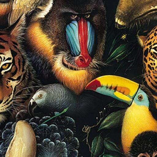 Gallery of animals